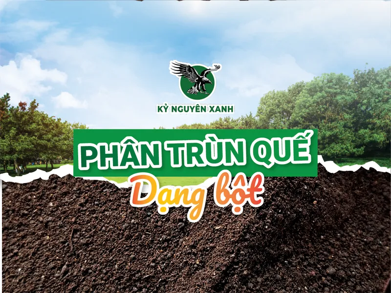 Sản phẩm Phan trun que Ky Nguyen Xanh Dang Bot 3 — Công Ty TNHH Phượng Hoàng — MST 3800669518