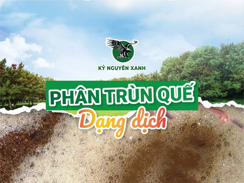 Sản phẩm Phan trun que Ky Nguyen Xanh Dang dich 1 — Công Ty TNHH Phượng Hoàng — MST 3800669518