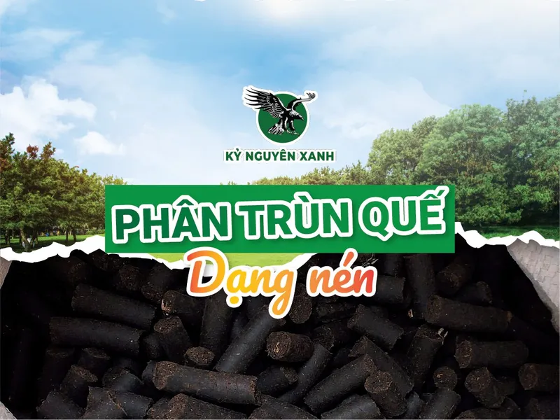 Sản phẩm Phan trun que Ky Nguyen Xanh Dang Nen 1 — Công Ty TNHH Phượng Hoàng — MST 3800669518