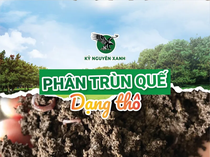 Sản phẩm Phan trun que Ky Nguyen Xanh Dang tho 1 — Công Ty TNHH Phượng Hoàng — MST 3800669518