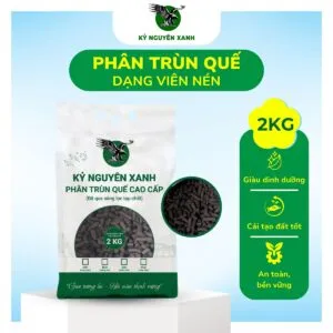 Sản phẩm Phan trun que Ky Nguyen Xanh vien nen 2Kg 300x300 — Công Ty TNHH Phượng Hoàng — MST 3800669518