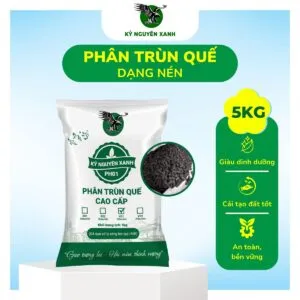 Sản phẩm Phan trun que Ky Nguyen Xanh vien nen 5Kg 300x300 — Công Ty TNHH Phượng Hoàng — MST 3800669518