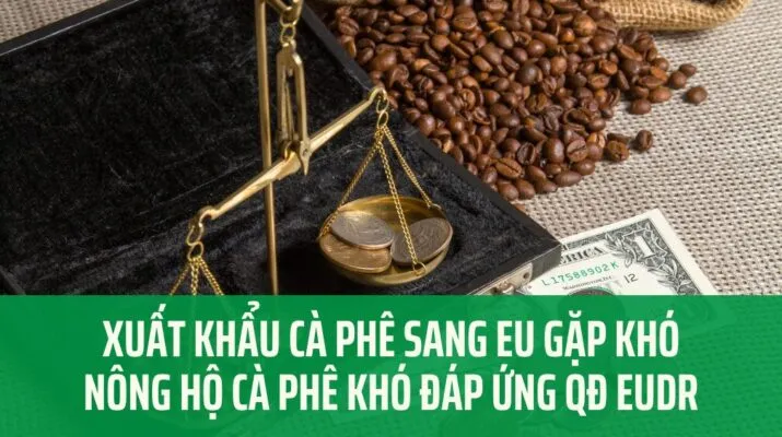 Sản phẩm Xuat khau ca phe sang EU gap kho 715x400 — Công Ty TNHH Phượng Hoàng — MST 3800669518