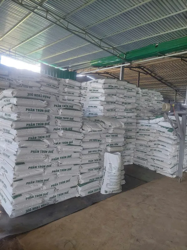 Sản phẩm z6021507692447_1c33eae1cf9b7f41bdedbb6095cd3a7f — Công Ty TNHH Phượng Hoàng — MST 3800669518