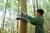 Sản phẩm giai phap su dung mai che mua lau dai_1540537215_1540537215 — Công Ty TNHH Sản Xuất Thương Mại Xuất Nhập Khẩu Mỹ Nhật Cao — MST 3801051467