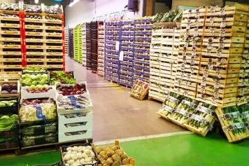 Sản phẩm dungkholanhbaoquannongsan 3715_360x240 — Công Ty TNHH Một Thành Viên Sản Xuất Thương Mại Đức Thịnh — MST 3801085089