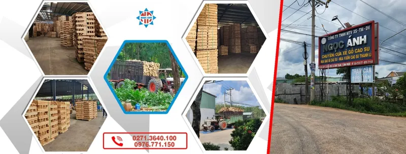 Sản phẩm 123 51850 — Gỗ Ngọc ánh - Công Ty TNHH Một Thành Viên Sản Xuất Thương Mại Dịch Vụ Ngọc ánh — MST 3801113032