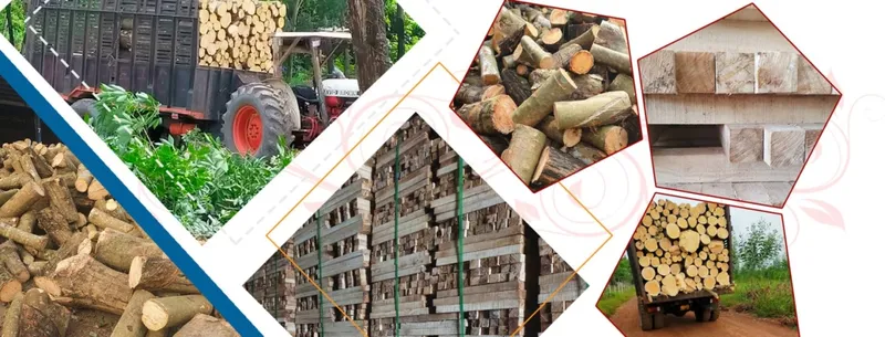 Sản phẩm go cao su xe say chat luong ngoc anh 23111 — Gỗ Ngọc ánh - Công Ty TNHH Một Thành Viên Sản Xuất Thương Mại Dịch Vụ Ngọc ánh — MST 3801113032