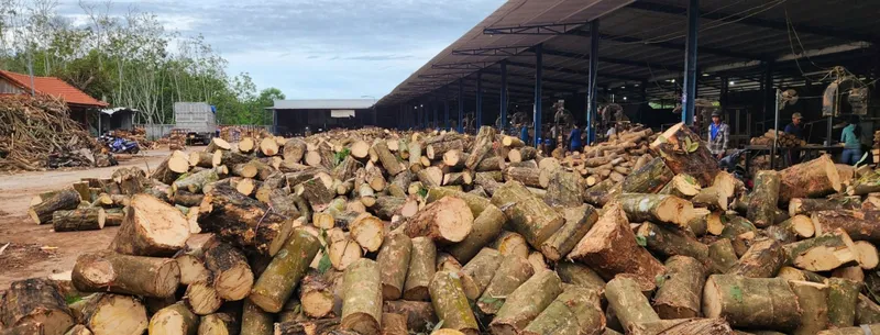 Sản phẩm mua go cao su gia cao 49841 — Gỗ Ngọc ánh - Công Ty TNHH Một Thành Viên Sản Xuất Thương Mại Dịch Vụ Ngọc ánh — MST 3801113032