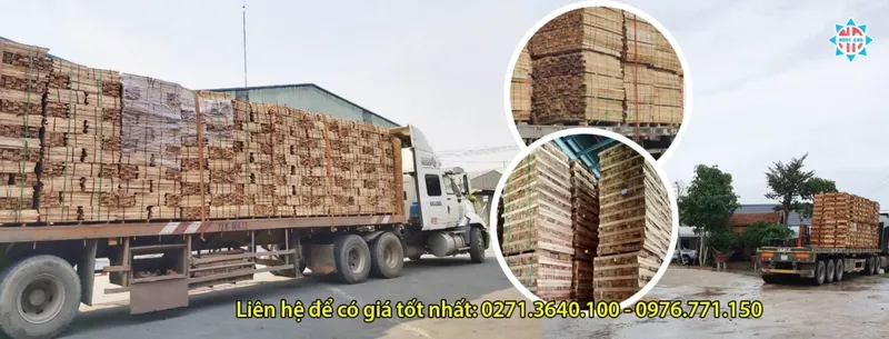 Sản phẩm phoi cao su xe say chat luong 52591 — Gỗ Ngọc ánh - Công Ty TNHH Một Thành Viên Sản Xuất Thương Mại Dịch Vụ Ngọc ánh — MST 3801113032