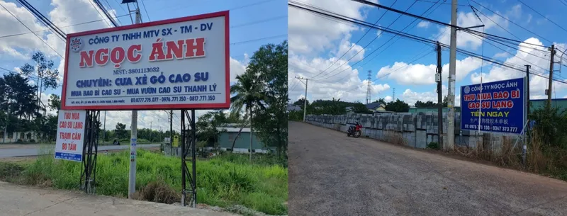 Sản phẩm phoi su xe say 97820 — Gỗ Ngọc ánh - Công Ty TNHH Một Thành Viên Sản Xuất Thương Mại Dịch Vụ Ngọc ánh — MST 3801113032