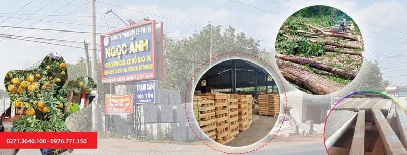 Sản phẩm than go cao su xe say 47171 — Gỗ Ngọc ánh - Công Ty TNHH Một Thành Viên Sản Xuất Thương Mại Dịch Vụ Ngọc ánh — MST 3801113032