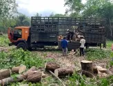 Sản phẩm thu mua go cao su gia cao 5294 — Gỗ Ngọc ánh - Công Ty TNHH Một Thành Viên Sản Xuất Thương Mại Dịch Vụ Ngọc ánh — MST 3801113032