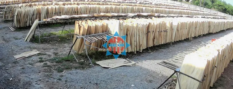 Sản phẩm van lang ngoc anh binh phuoc 7104 — Gỗ Ngọc ánh - Công Ty TNHH Một Thành Viên Sản Xuất Thương Mại Dịch Vụ Ngọc ánh — MST 3801113032