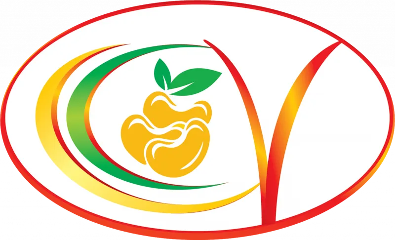 Logo Công Ty Cổ Phần Chế Biến Điều Việt Nam