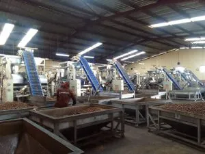 Sản phẩm quy trinh san xuat hat dieu xuat khau 300x225 — Công Ty Cổ Phần Chế Biến Điều Việt Nam — MST 3801168419
