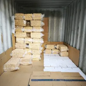 Sản phẩm z7260977773120_b488264df07b4346022b268d3363d0ff 300x300 — Công Ty Cổ Phần Chế Biến Điều Việt Nam — MST 3801168419