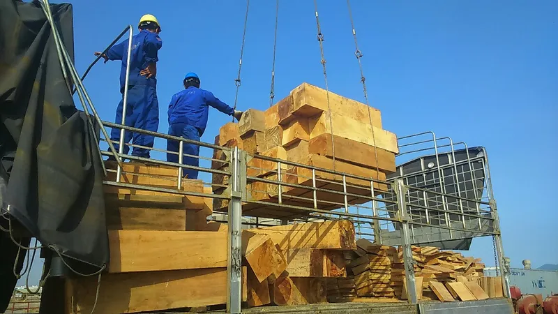 Sản phẩm cong trinh 9 — Gỗ BP Green - Công Ty TNHH MTV BP Green — MST 3801270067