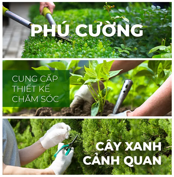 Sản phẩm intro — Công Ty TNHH Dịch Vụ Và Kỹ Thuật Phú Cường — MST 3801277954