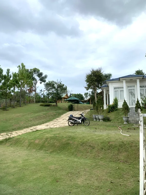 Sản phẩm cham soc cay xanh (5) — Công Ty TNHH Dịch Vụ Và Kỹ Thuật Phú Cường — MST 3801277954