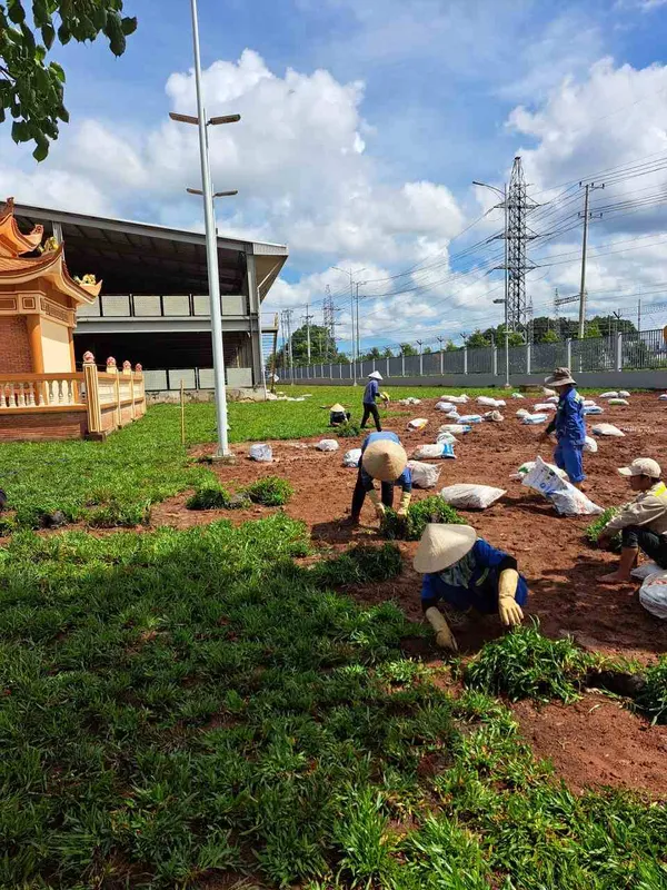 Sản phẩm dich vu trong co canh quan (2) — Công Ty TNHH Dịch Vụ Và Kỹ Thuật Phú Cường — MST 3801277954