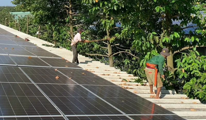 Sản phẩm dich vu cay xanh — Công Ty TNHH Dịch Vụ Và Kỹ Thuật Phú Cường — MST 3801277954