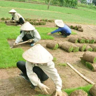 Sản phẩm hinh anh cong ty (11) — Công Ty TNHH Dịch Vụ Và Kỹ Thuật Phú Cường — MST 3801277954