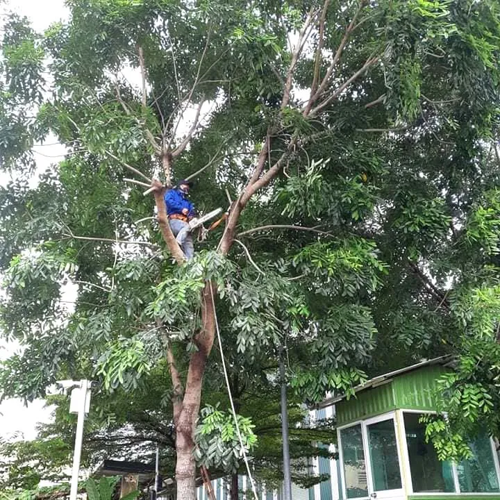 Sản phẩm hinh anh cong ty (6) — Công Ty TNHH Dịch Vụ Và Kỹ Thuật Phú Cường — MST 3801277954