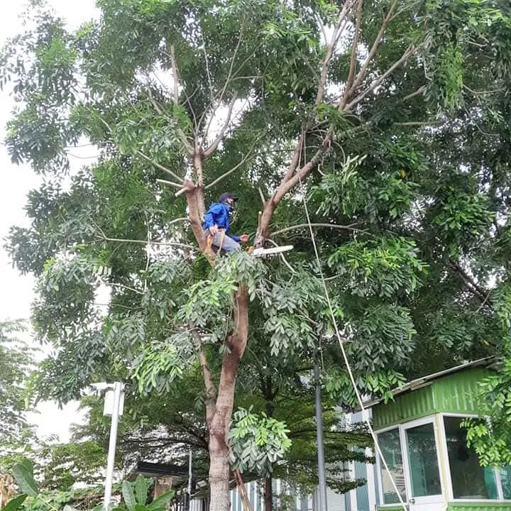 Sản phẩm hinh anh cong ty (7) — Công Ty TNHH Dịch Vụ Và Kỹ Thuật Phú Cường — MST 3801277954