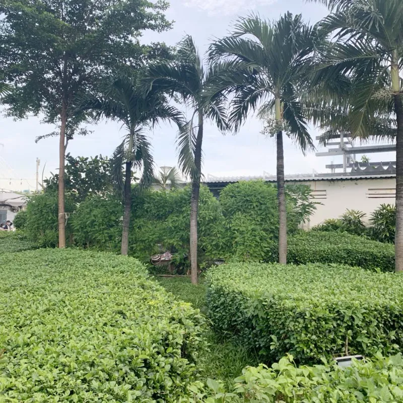 Sản phẩm hinh anh cong ty (8) — Công Ty TNHH Dịch Vụ Và Kỹ Thuật Phú Cường — MST 3801277954