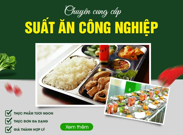 Sản phẩm gioithieucty_temp (2) — Suất Ăn Thực Phẩm Xanh - Công Ty TNHH QL Thực Phẩm Xanh — MST 3801290842