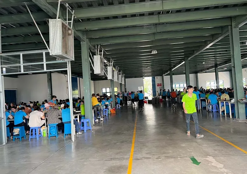 Sản phẩm SUAT AN CONG NGHIEP (8) — Suất Ăn Thực Phẩm Xanh - Công Ty TNHH QL Thực Phẩm Xanh — MST 3801290842