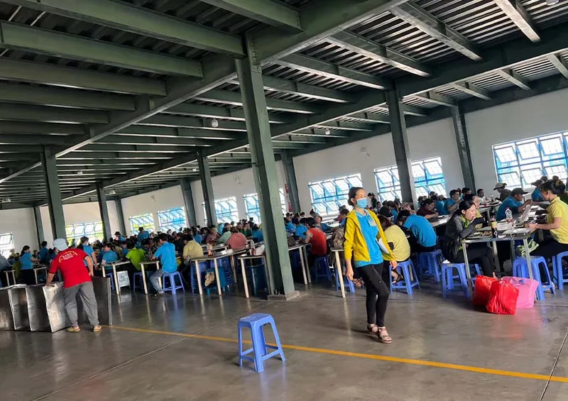 Sản phẩm SUAT AN CONG NGHIEP (9) — Suất Ăn Thực Phẩm Xanh - Công Ty TNHH QL Thực Phẩm Xanh — MST 3801290842