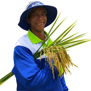 Sản phẩm hinh anh nong dan 2 — Phân Bón Đức Thành - Công Ty Trách Nhiệm Hữu Hạn Thương Mại, Dịch vụ, Sản Xuất,
Xuất Nhập Khẩu Đức Thành — MST 3900210492