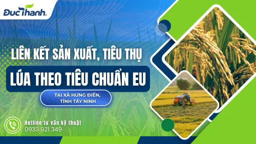 Sản phẩm 1 3 500x281 — Phân Bón Đức Thành - Công Ty Trách Nhiệm Hữu Hạn Thương Mại, Dịch vụ, Sản Xuất,
Xuất Nhập Khẩu Đức Thành — MST 3900210492