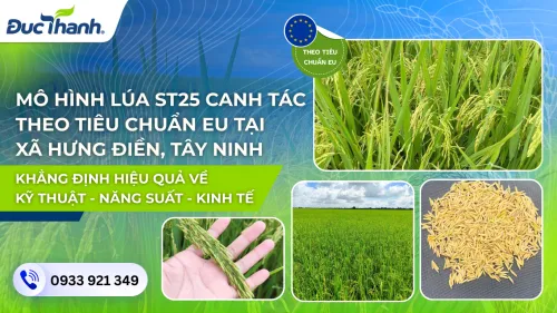 Sản phẩm image001 500x281 — Phân Bón Đức Thành - Công Ty Trách Nhiệm Hữu Hạn Thương Mại, Dịch vụ, Sản Xuất,
Xuất Nhập Khẩu Đức Thành — MST 3900210492