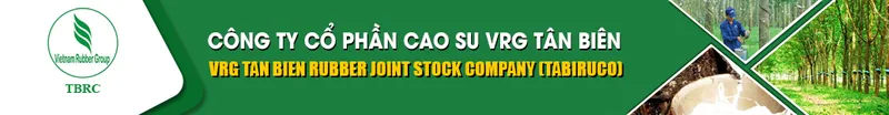 Logo Công Ty Cổ Phần Cao Su Tân Biên