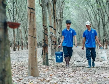 Sản phẩm he thong vuon cay 2 6756 — Cao Su Liên Anh - Công Ty TNHH Sản Xuất Cao Su Liên Anh — MST 3900308988