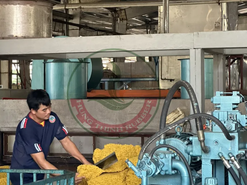 Sản phẩm 19 qof6z14btunvc9dxayq1ifrdmpzuo4mdy0r5rl26pc — Cao Su Hưng Thịnh - Công Ty TNHH Hưng Thịnh — MST 3900388849
