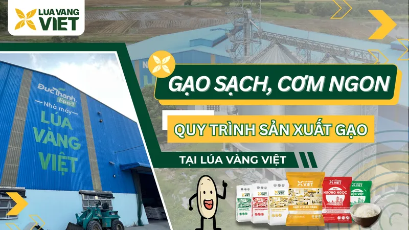 Sản phẩm 1 — Công Ty Cổ Phần Sản Xuất Thương Mại Lúa Vàng Việt — MST 3901259282