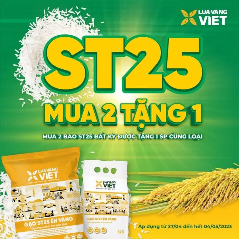 Sản phẩm ctkm mung thang loi vu mua dong xuan st25 tu ba con nong dan tay ninh mung vu mua boi thu st25 en vang mua 2 tang 1 482 800x800 — Công Ty Cổ Phần Sản Xuất Thương Mại Lúa Vàng Việt — MST 3901259282