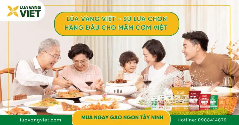 Sản phẩm gao lua vang viet lua chon hang dau trong mam com viet — Công Ty Cổ Phần Sản Xuất Thương Mại Lúa Vàng Việt — MST 3901259282