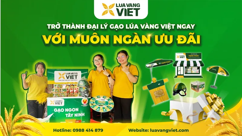 Sản phẩm lua vang viet 11.8 10 scaled — Công Ty Cổ Phần Sản Xuất Thương Mại Lúa Vàng Việt — MST 3901259282