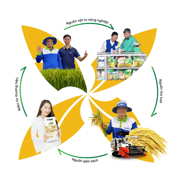 Sản phẩm su menh ve hat gao dat chuan — Công Ty Cổ Phần Sản Xuất Thương Mại Lúa Vàng Việt — MST 3901259282