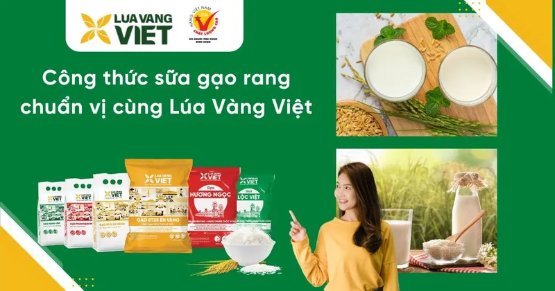 Sản phẩm sua gao — Công Ty Cổ Phần Sản Xuất Thương Mại Lúa Vàng Việt — MST 3901259282