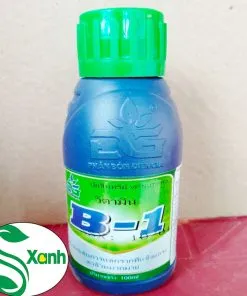 Sản phẩm B1 DG 2 247x296 — Công Ty TNHH Cây Cảnh S-Xanh — MST 3901306380