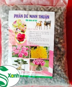 Sản phẩm Phan de 2 247x296 — Công Ty TNHH Cây Cảnh S-Xanh — MST 3901306380