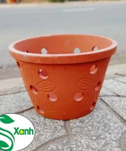 Sản phẩm VOT LO 1 247x296 — Công Ty TNHH Cây Cảnh S-Xanh — MST 3901306380