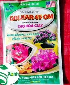 Sản phẩm hoa giaasy 247x296 — Công Ty TNHH Cây Cảnh S-Xanh — MST 3901306380
