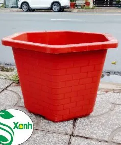 Sản phẩm FA520 247x296 — Công Ty TNHH Cây Cảnh S-Xanh — MST 3901306380
